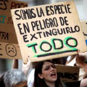 Ecologismo Salvaje