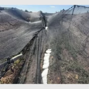 El granizo castiga a los productores de San Juan