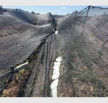 El granizo castiga a los productores de San Juan