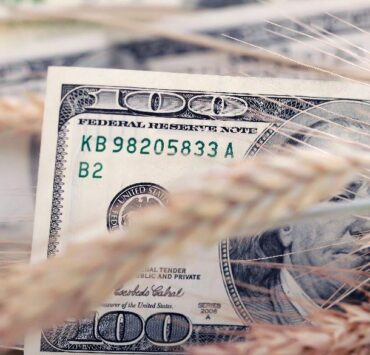 ¿Por qué no sube el dólar blue?