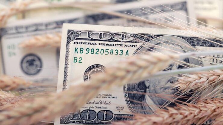 ¿Por qué no sube el dólar blue?