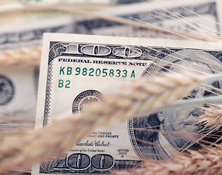¿Por qué no sube el dólar blue?