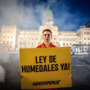 proyecto de ley