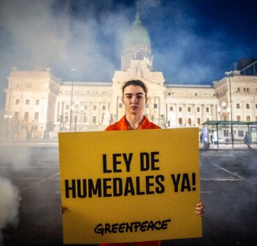 proyecto de ley