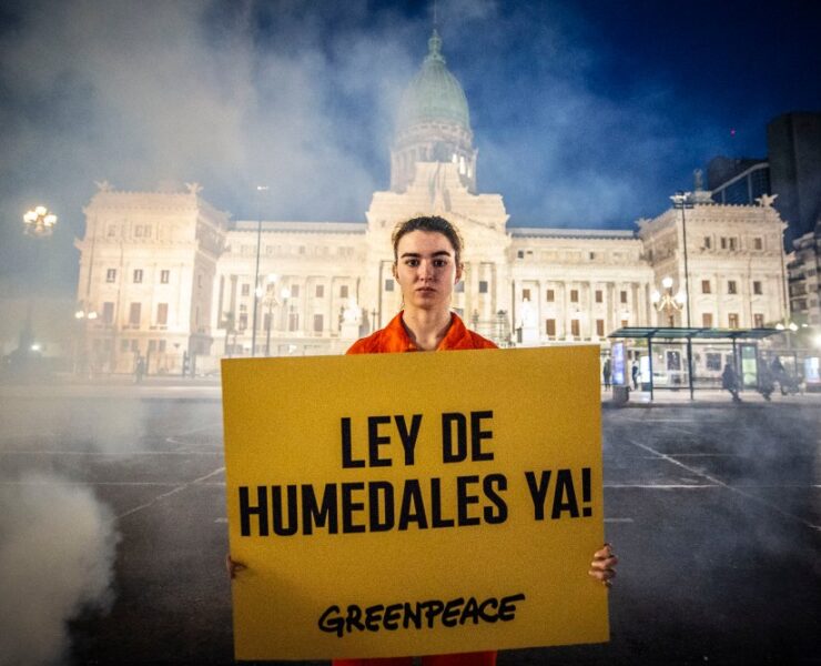 proyecto de ley