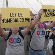 ley