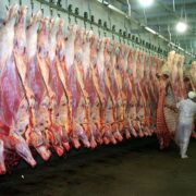 Se esperan subas en el precio de la carne por el aumento en novillos y vaquillonas