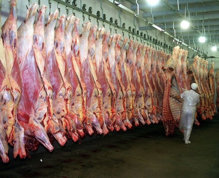 Se esperan subas en el precio de la carne por el aumento en novillos y vaquillonas