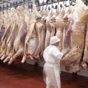 Exportaciones de carne alcanzan máximo histórico, pero advierten de caída de precios