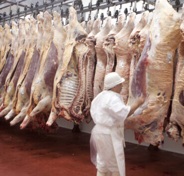 Exportaciones de carne alcanzan máximo histórico, pero advierten de caída de precios