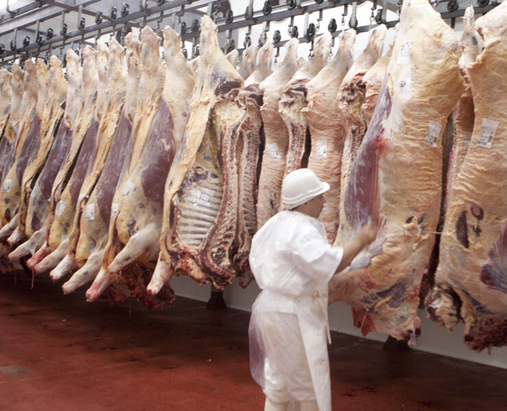 Exportaciones de carne alcanzan máximo histórico, pero advierten de caída de precios