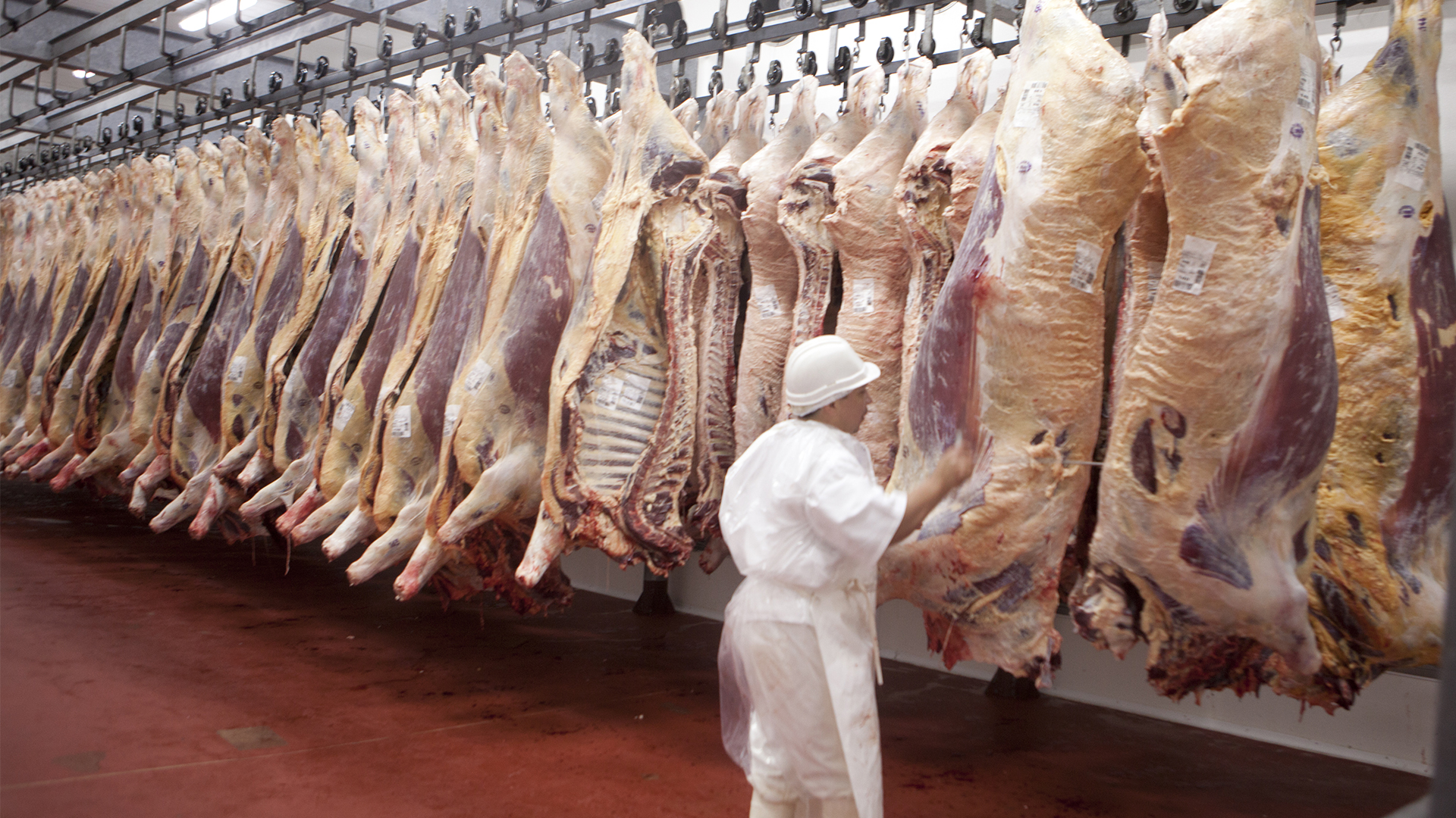 Exportaciones de carne alcanzan máximo histórico, pero advierten de caída de precios