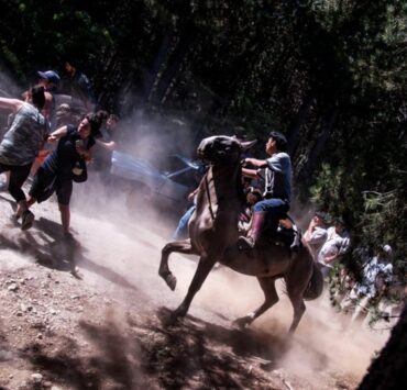 Gauchos