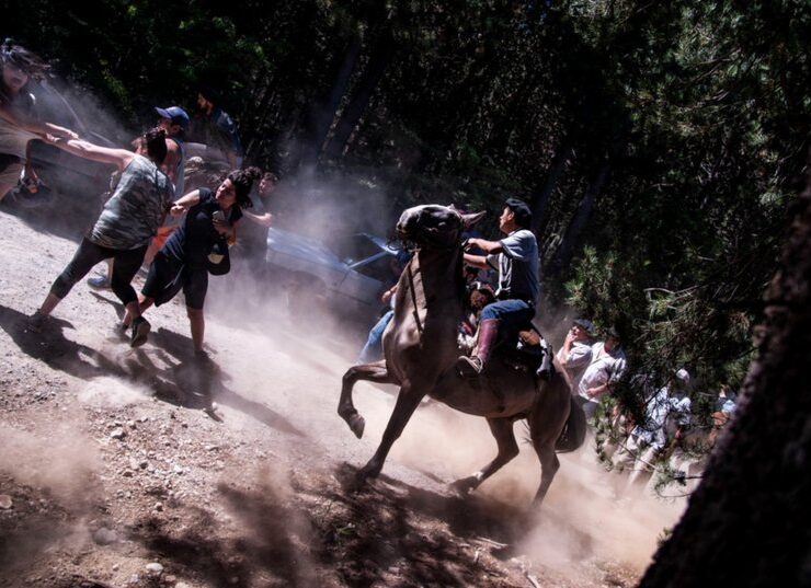 Gauchos