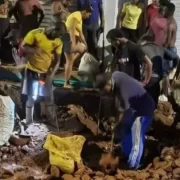 Fiebre del oro