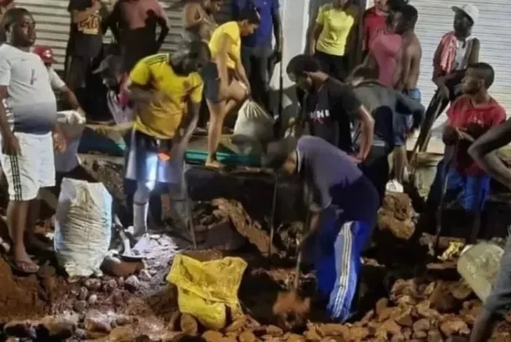 Fiebre del oro