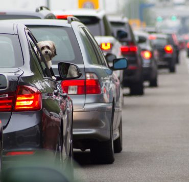 prohibición autos a combustión interna