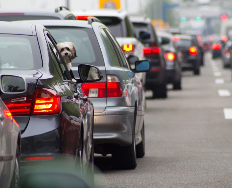 prohibición autos a combustión interna