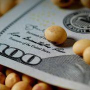 Soja en dolares