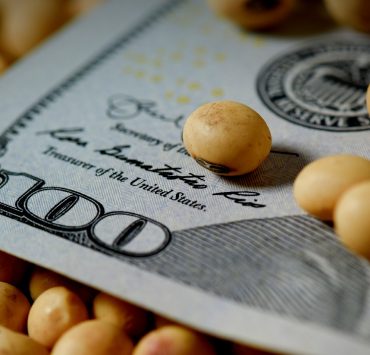 Soja en dolares