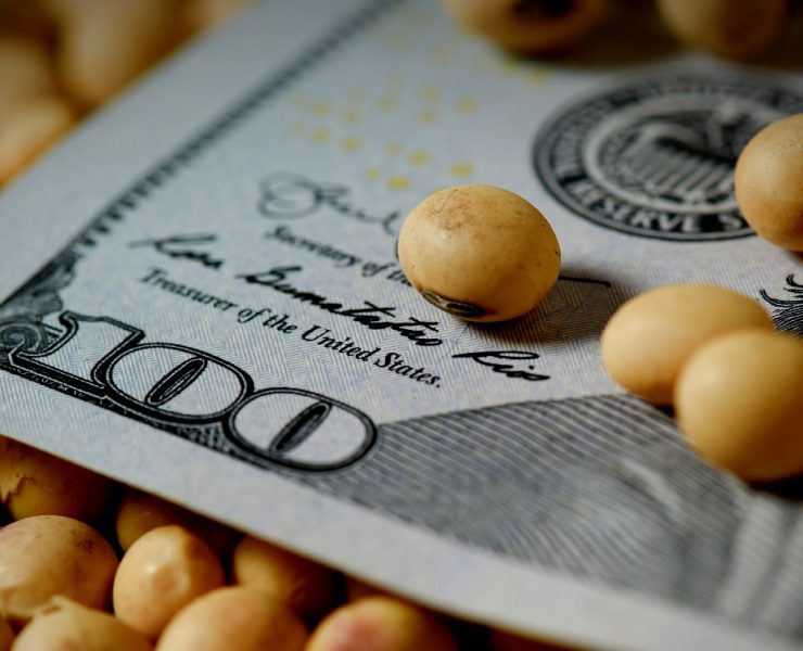 Soja en dolares