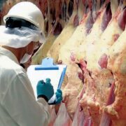 Carne