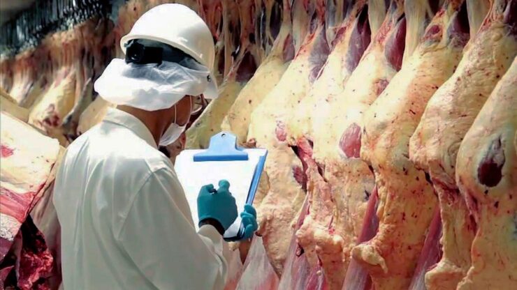 Carne