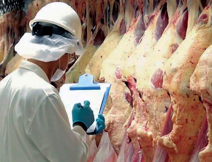 Carne